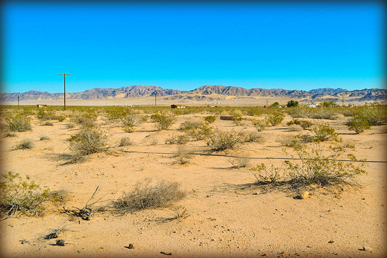 Lear Avenue